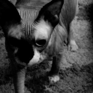 Meet your Posher, Cinda